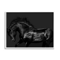 Stupell Industries Moderna fotografija crnog konja Divlji stadion Monorromatic, 16, dizajn Samantha Carter