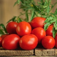 19 unci paste od rajčice, 2 pakiranja