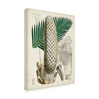 Curtisova slika na platnu sago palms of the mumbo