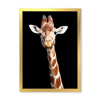 DesignArt 'Izbliza portret žirafe na crnoj v' Farmhouse uokvirenom umjetničkom printu