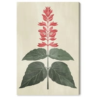 Wynwood Studio platno One biljne botaničke cvjetne i botaničke cvjetove zidne umjetničke platnene canvas ispis